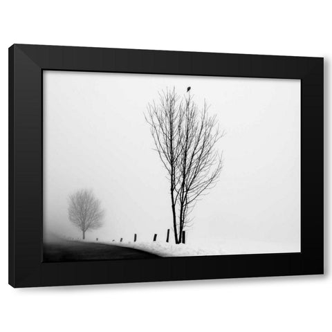 The Messenger Black Modern Wood Framed Art Print by Szilagyi, lly