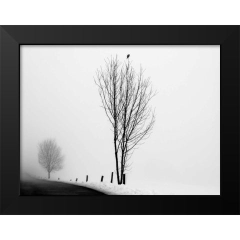 The Messenger Black Modern Wood Framed Art Print by Szilagyi, lly