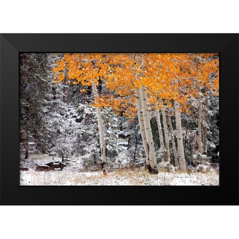 A Little Bit of Winter Black Modern Wood Framed Art Print by Jones, Mike