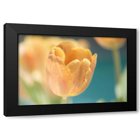 Delightful Black Modern Wood Framed Art Print by Marie, Dina