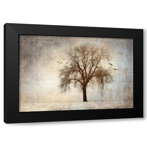 Treehouse Black Modern Wood Framed Art Print by Szilagyi, Ily