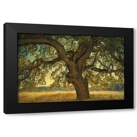 Blue Oak Silhouette Black Modern Wood Framed Art Print by Guion, William