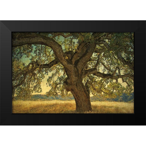 Blue Oak Silhouette Black Modern Wood Framed Art Print by Guion, William