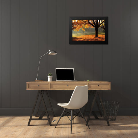 Autumn Black Modern Wood Framed Art Print by Jones, Mike
