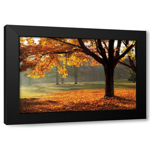 Autumn Black Modern Wood Framed Art Print by Jones, Mike