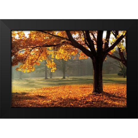 Autumn Black Modern Wood Framed Art Print by Jones, Mike