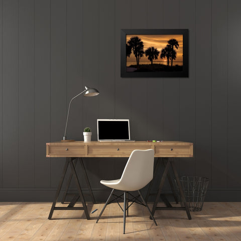 Tropical Park Sunset Black Modern Wood Framed Art Print by Jones, Mike