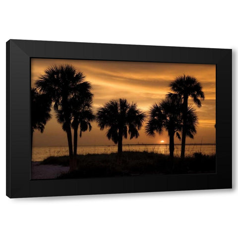 Tropical Park Sunset Black Modern Wood Framed Art Print with Double Matting by Jones, Mike