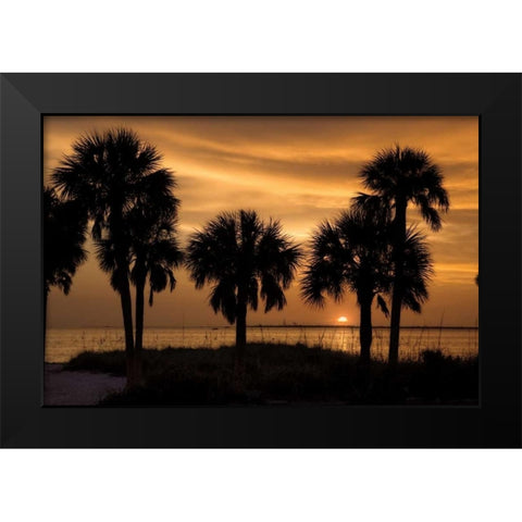 Tropical Park Sunset Black Modern Wood Framed Art Print by Jones, Mike