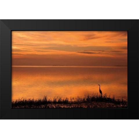 Crystal Beach Sunset Black Modern Wood Framed Art Print by Jones, Mike