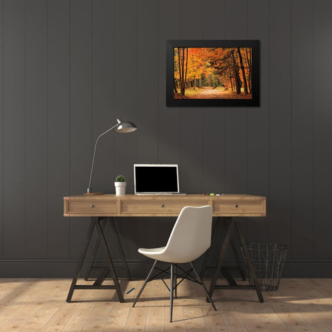 Autumn Walk Black Modern Wood Framed Art Print by Jones, Mike