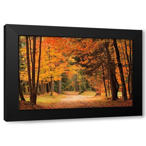 Autumn Walk Black Modern Wood Framed Art Print with Double Matting by Jones, Mike