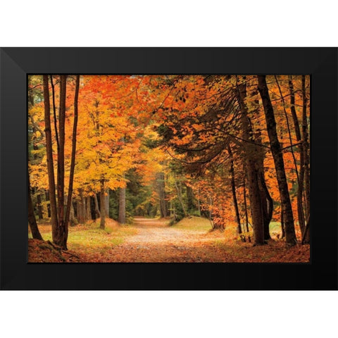 Autumn Walk Black Modern Wood Framed Art Print by Jones, Mike