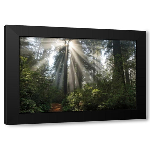 Shine On You Black Modern Wood Framed Art Print with Double Matting by Jones, Mike