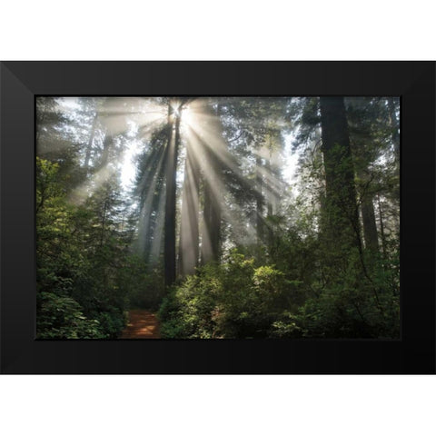 Shine On You Black Modern Wood Framed Art Print by Jones, Mike