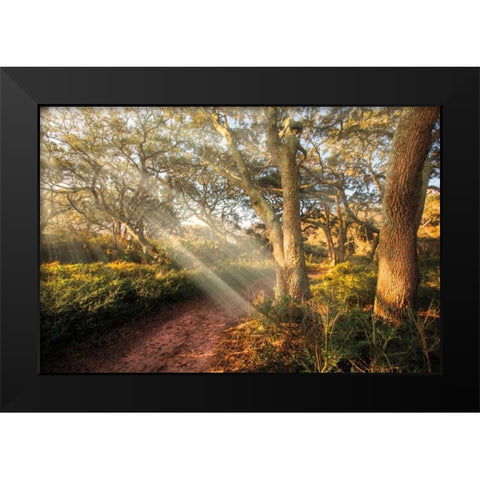 Inspiration Black Modern Wood Framed Art Print by Celebrate Life Gallery