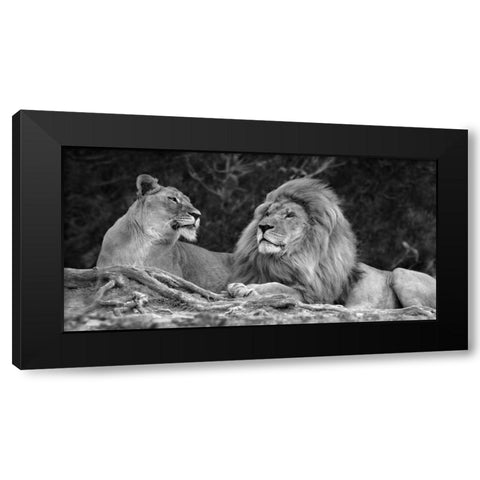 Love Black Modern Wood Framed Art Print with Double Matting by Ortega, Xavier