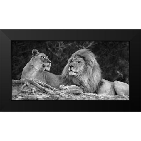Love Black Modern Wood Framed Art Print by Ortega, Xavier