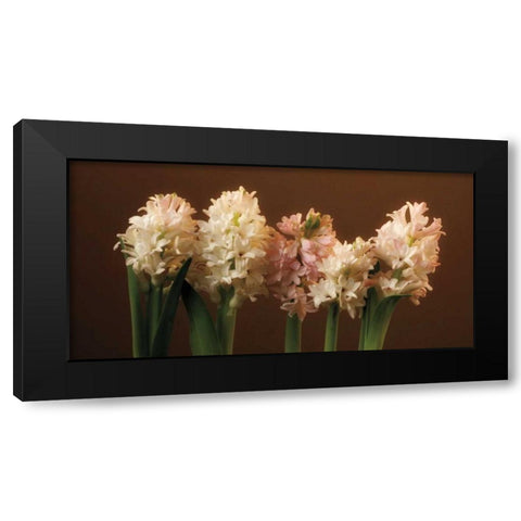 Garden Blooms Black Modern Wood Framed Art Print with Double Matting by Pahl, Janel