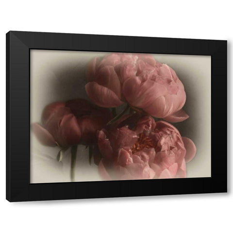 Heavenly Black Modern Wood Framed Art Print with Double Matting by Pahl, Janel