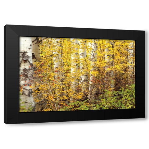 Hiding Black Modern Wood Framed Art Print with Double Matting by Pahl, Janel