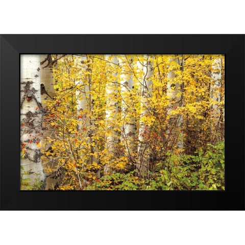 Hiding Black Modern Wood Framed Art Print by Pahl, Janel