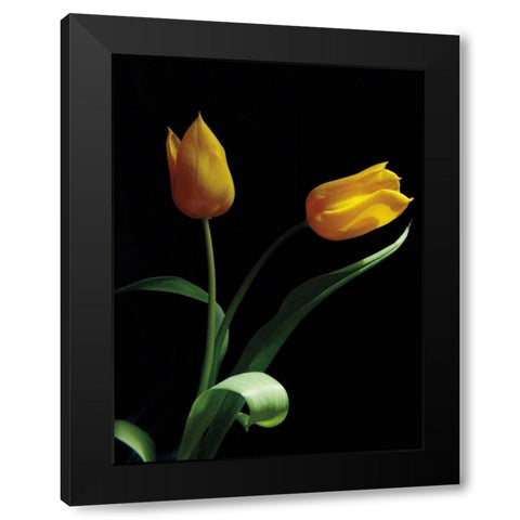 Trust Black Modern Wood Framed Art Print with Double Matting by Szilagyi, Ily