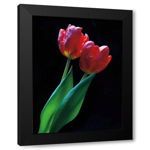 Romance Black Modern Wood Framed Art Print with Double Matting by Szilagyi, Ily