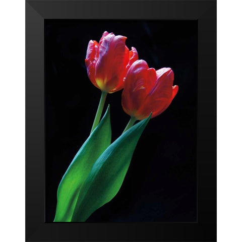 Romance Black Modern Wood Framed Art Print by Szilagyi, Ily