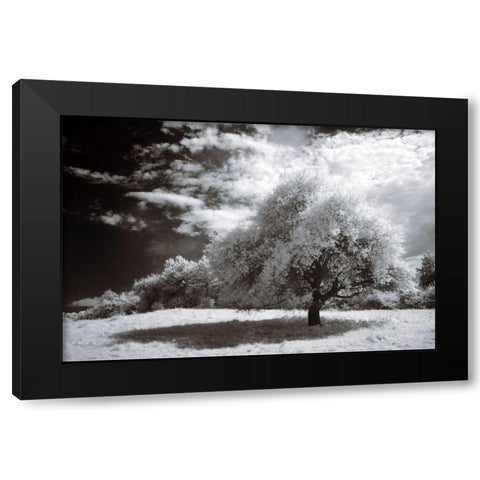 Peace Black Modern Wood Framed Art Print by Szilagyi, Ily