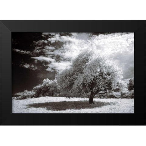 Peace Black Modern Wood Framed Art Print by Szilagyi, Ily