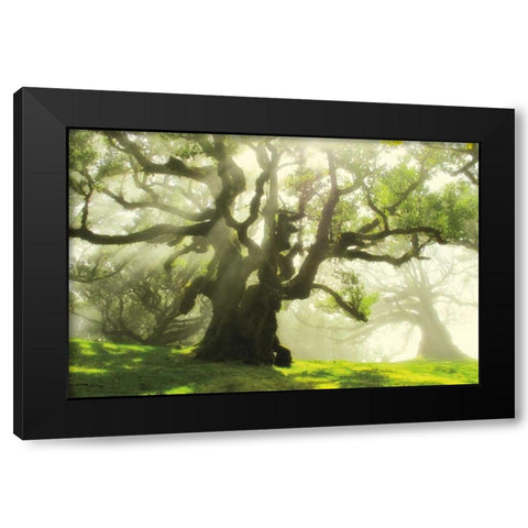 Big and Bright Black Modern Wood Framed Art Print with Double Matting by Szilagyi, Ily