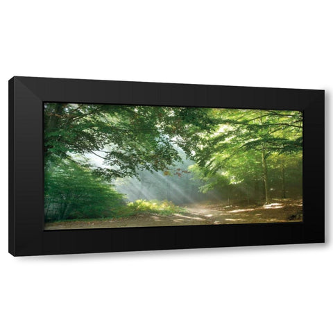 Morning Break Black Modern Wood Framed Art Print with Double Matting by Vila, Toni