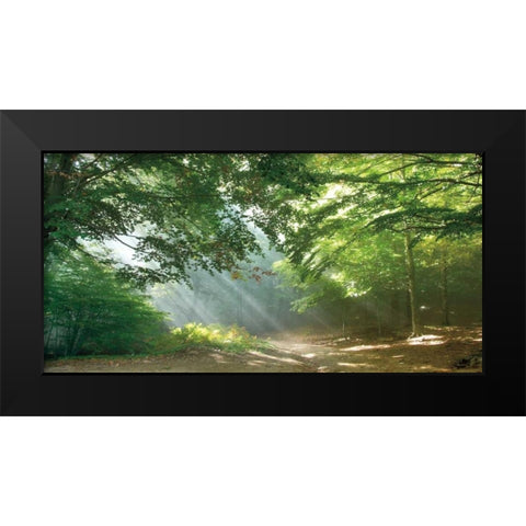Morning Break Black Modern Wood Framed Art Print by Vila, Toni