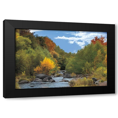 Near Perfect Day Black Modern Wood Framed Art Print by Jones, Mike