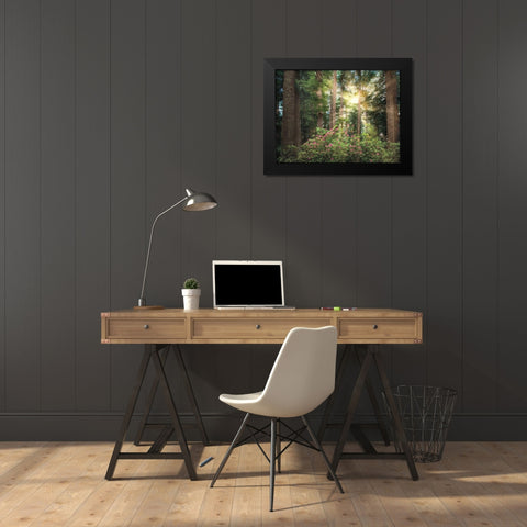 Rise n Shine Black Modern Wood Framed Art Print by Frates, Dennis