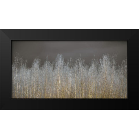 Silver Forest Black Modern Wood Framed Art Print by Frank, Assaf