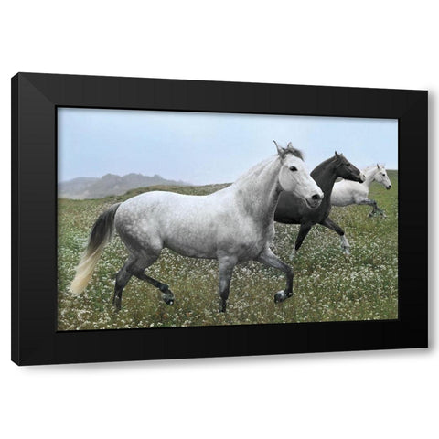 Perfect Pasture Black Modern Wood Framed Art Print with Double Matting by Llovet, Jorge