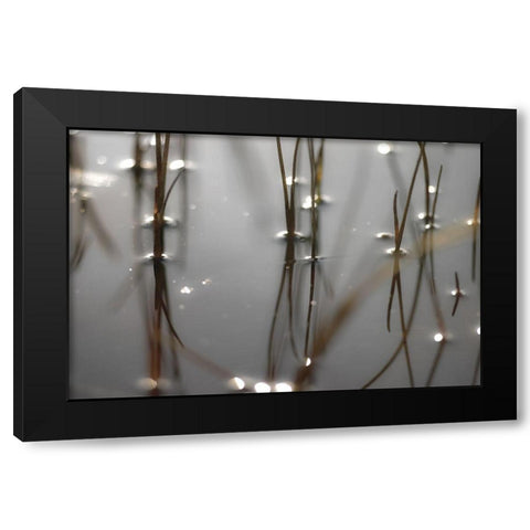 Still Waters Black Modern Wood Framed Art Print by Frank, Assaf