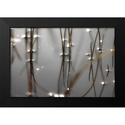 Still Waters Black Modern Wood Framed Art Print by Frank, Assaf