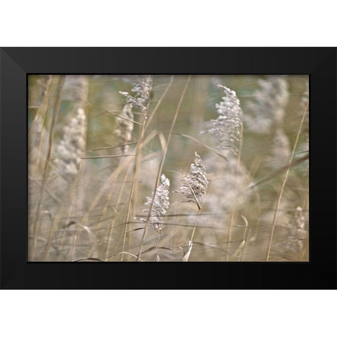 Wind Blown Black Modern Wood Framed Art Print by Frank, Assaf