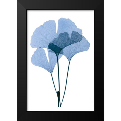 Get Growing I Black Modern Wood Framed Art Print by ACEE