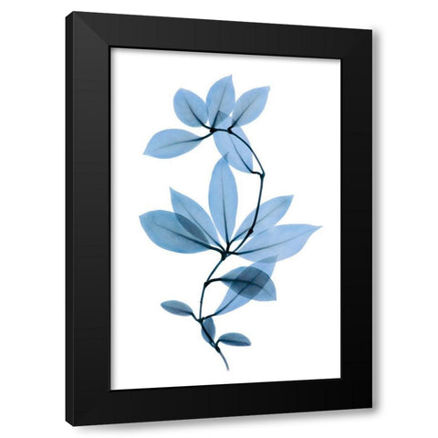 Get Growing II Black Modern Wood Framed Art Print with Double Matting by ACEE