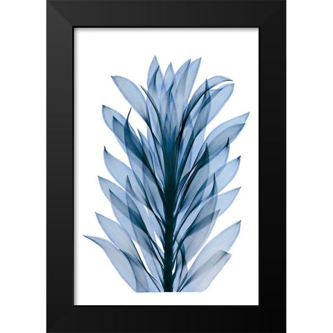 Get Growing III Black Modern Wood Framed Art Print by ACEE