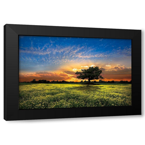 Shadows at Sunset Black Modern Wood Framed Art Print with Double Matting by Celebrate Life Gallery