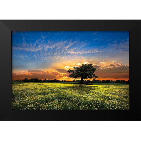Shadows at Sunset Black Modern Wood Framed Art Print by Celebrate Life Gallery