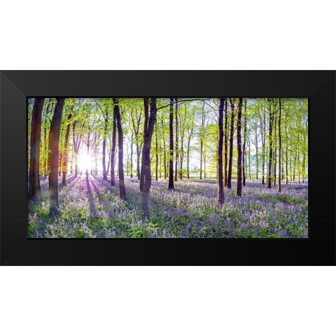 Bluebells and Sunrise Black Modern Wood Framed Art Print by Frank, Assaf
