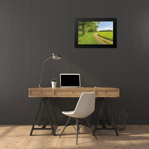 Greenest Pastures Black Modern Wood Framed Art Print by Frank, Assaf
