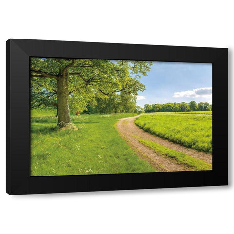Greenest Pastures Black Modern Wood Framed Art Print by Frank, Assaf