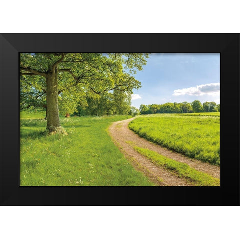 Greenest Pastures Black Modern Wood Framed Art Print by Frank, Assaf